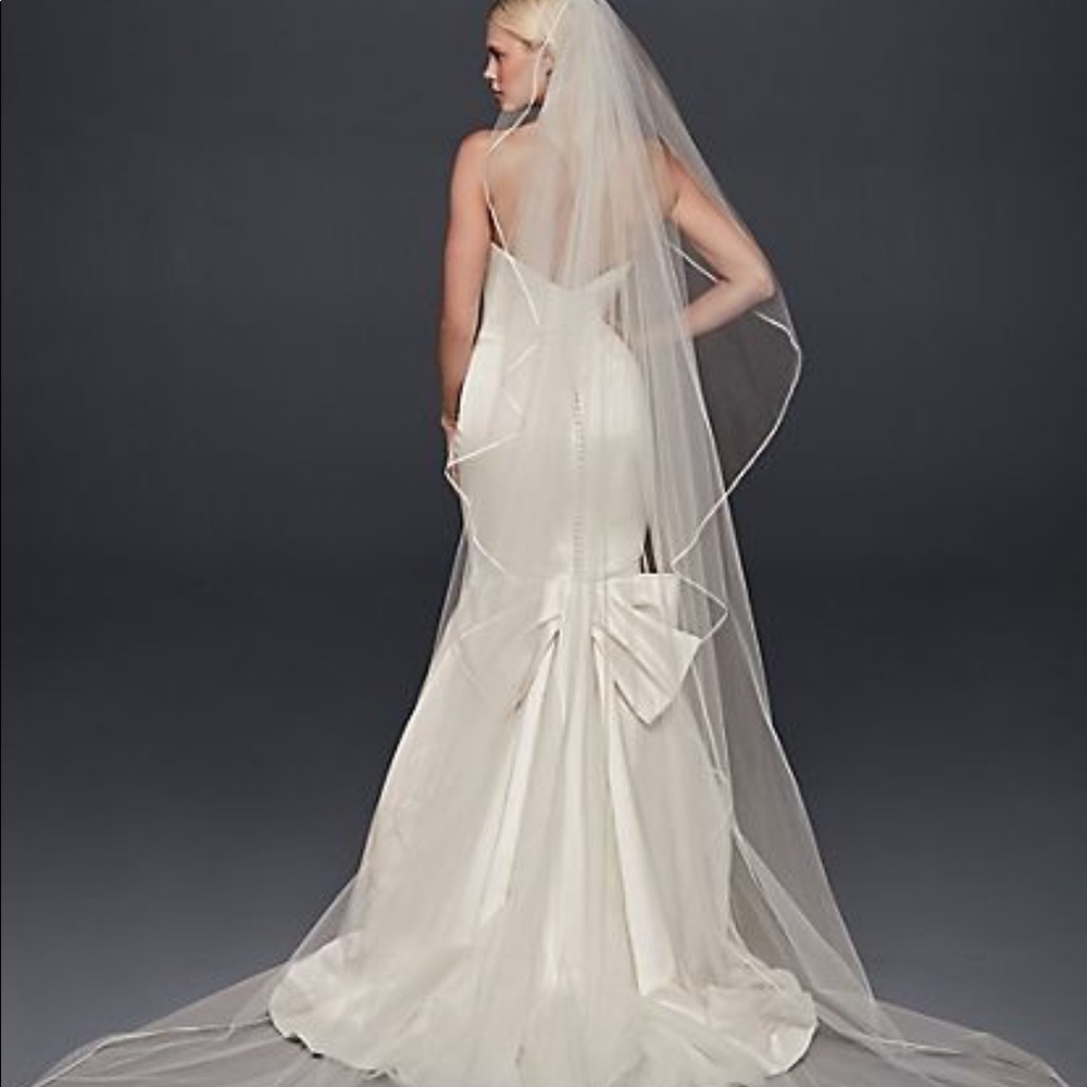 Zac Posen Cathedral veil never worn!
